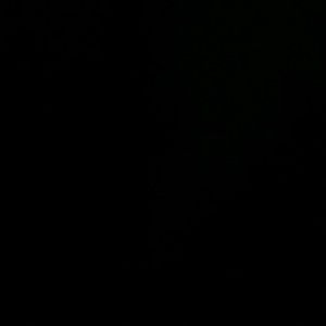 Meet your Posher, Madia